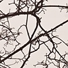connect the landscape with the quiet of the sky, part 2