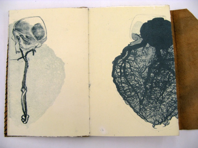 the Scientist's Journal