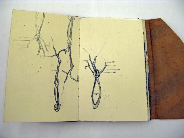 the Scientist's Journal