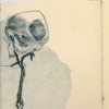 the Scientist's Journal