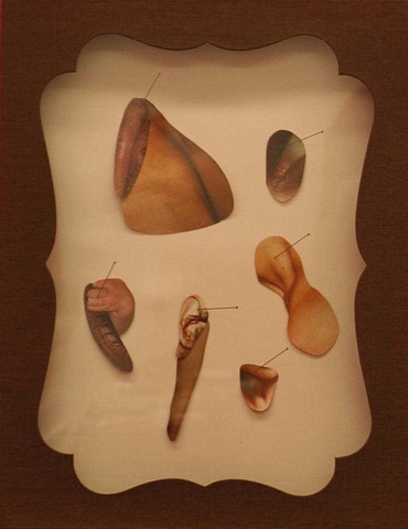 Specimen 4