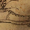 Untitled (Shoe)