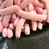 Sneak Peak shot

"Nathan Prouty: Piles & Countertops"
January 8th @ The Clay Studio