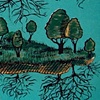 Andrew Bird