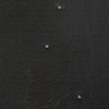 Hexe 016