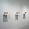 "Cross Section Series"
