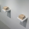 (Detail) "Cross Section Series"
