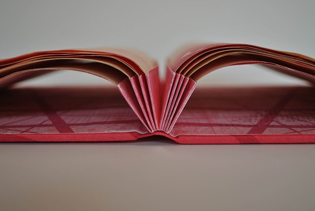 The Familiar Space (binding detail)