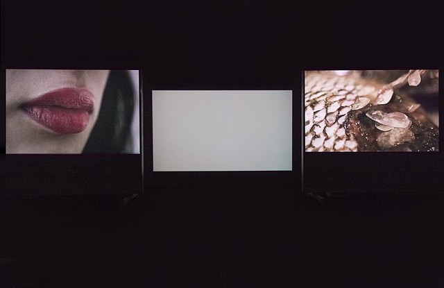 I Feel As If She May Be Vanishing, II (three-channel installation image 3)