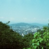 Tokushima (wet)