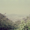 Tokushima (dry)
