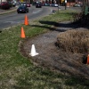 Cone Placements