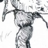 Birdsuit16