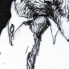 Birdsuit17