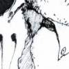 Birdsuit7