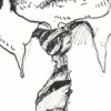 Birdsuit4