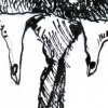 Birdsuit20