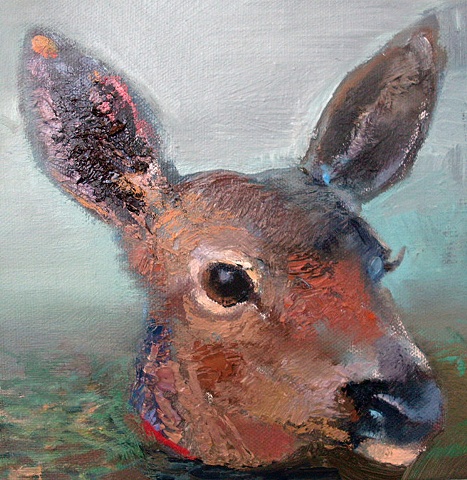 deer head