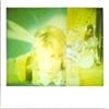Polaroid Collages
