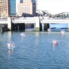 Walking on Water