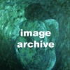 Image Archive