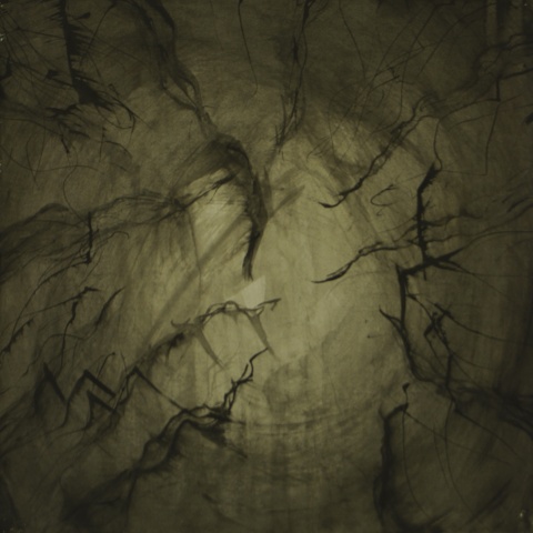 Tree Series #3