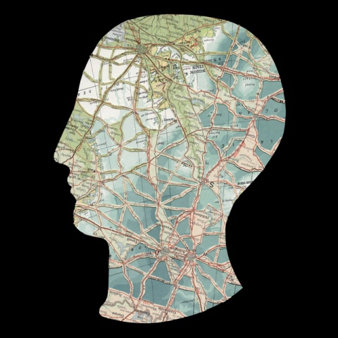 Untitled (Head - Left)