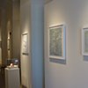 Exhibitions