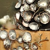 Wanderlux
Lichen Brooch 