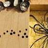 Wanderlux
Scatter Pins in Drawer 