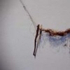 Flotsam Projects