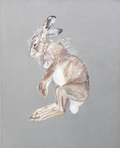 Snowshoe Hare