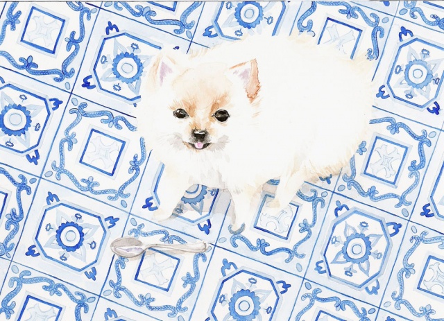 Pom
