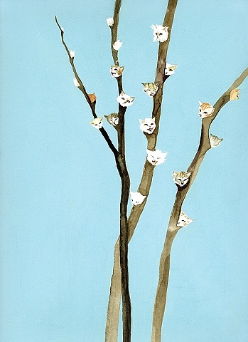 Kittenwillows