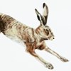 Running Hare silkscreen print
