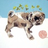 Clover Pug (Detail)