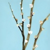 Kittenwillows