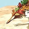 Quill