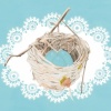 Lacey Nest