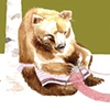 Like A Bear Knitting