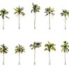 Future Azerbaijan Skyline- Palm Trees