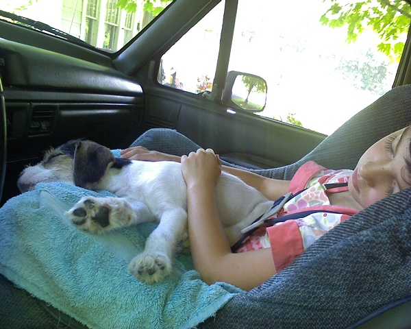 Tuckered Out in the Award Winning Truck