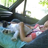 Tuckered Out in the Award Winning Truck