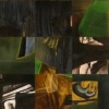 The Curtain