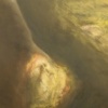 Quieting A