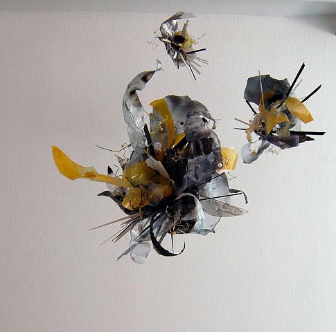 Plastic Hybrid Leftovers