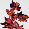 Fire Fractals