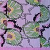 Collaborative Projects