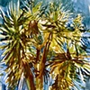 Barcelona 1