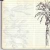 Barcelona Field Sketch 5
